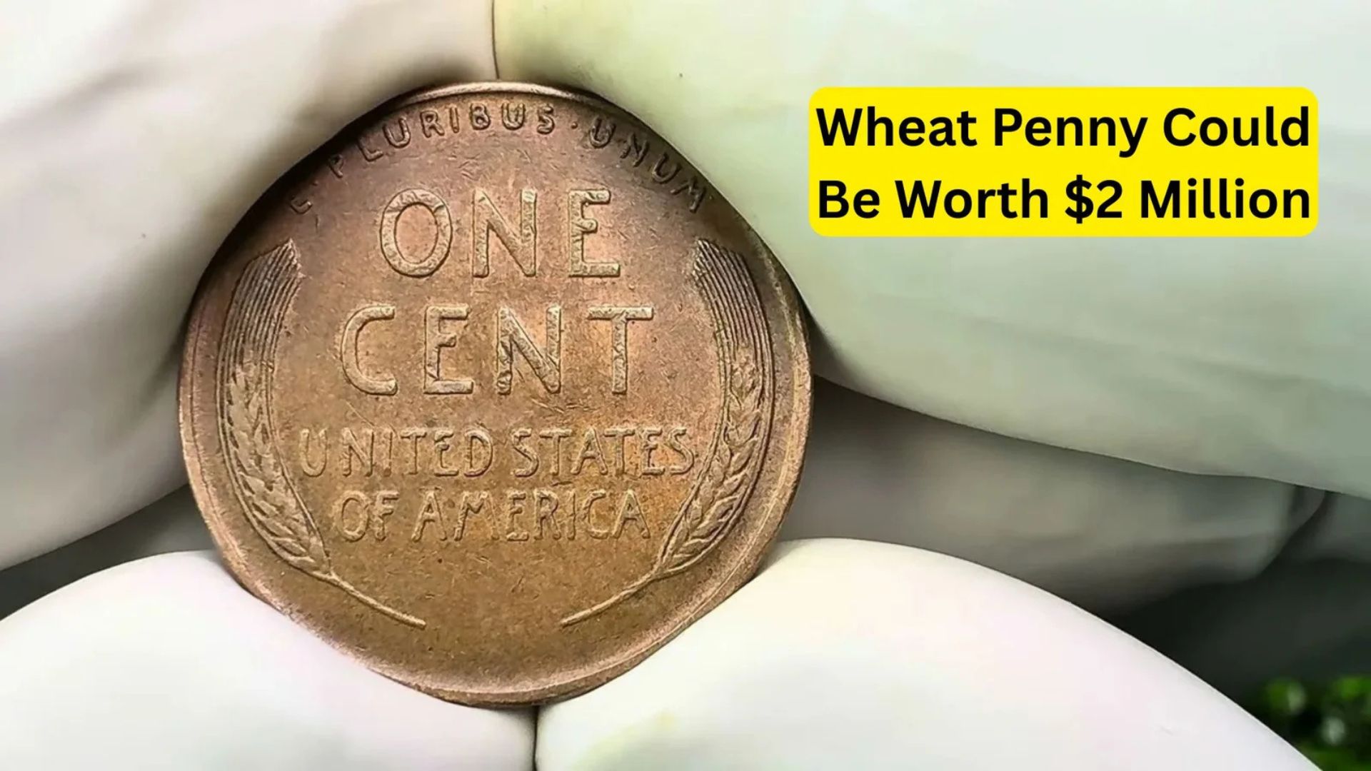 This Rare Lincoln Wheat Penny Could Be Worth $2 Million – Is It in Your Change?